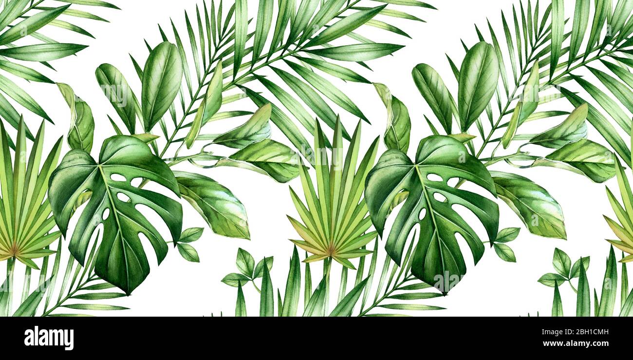 Acquerello tropicale senza cuciture pattern. Strisce diagonali ripetute. Esotiche foglie di palma, monstera, cocco isolato su bianco. Botanico a mano tirato Foto Stock