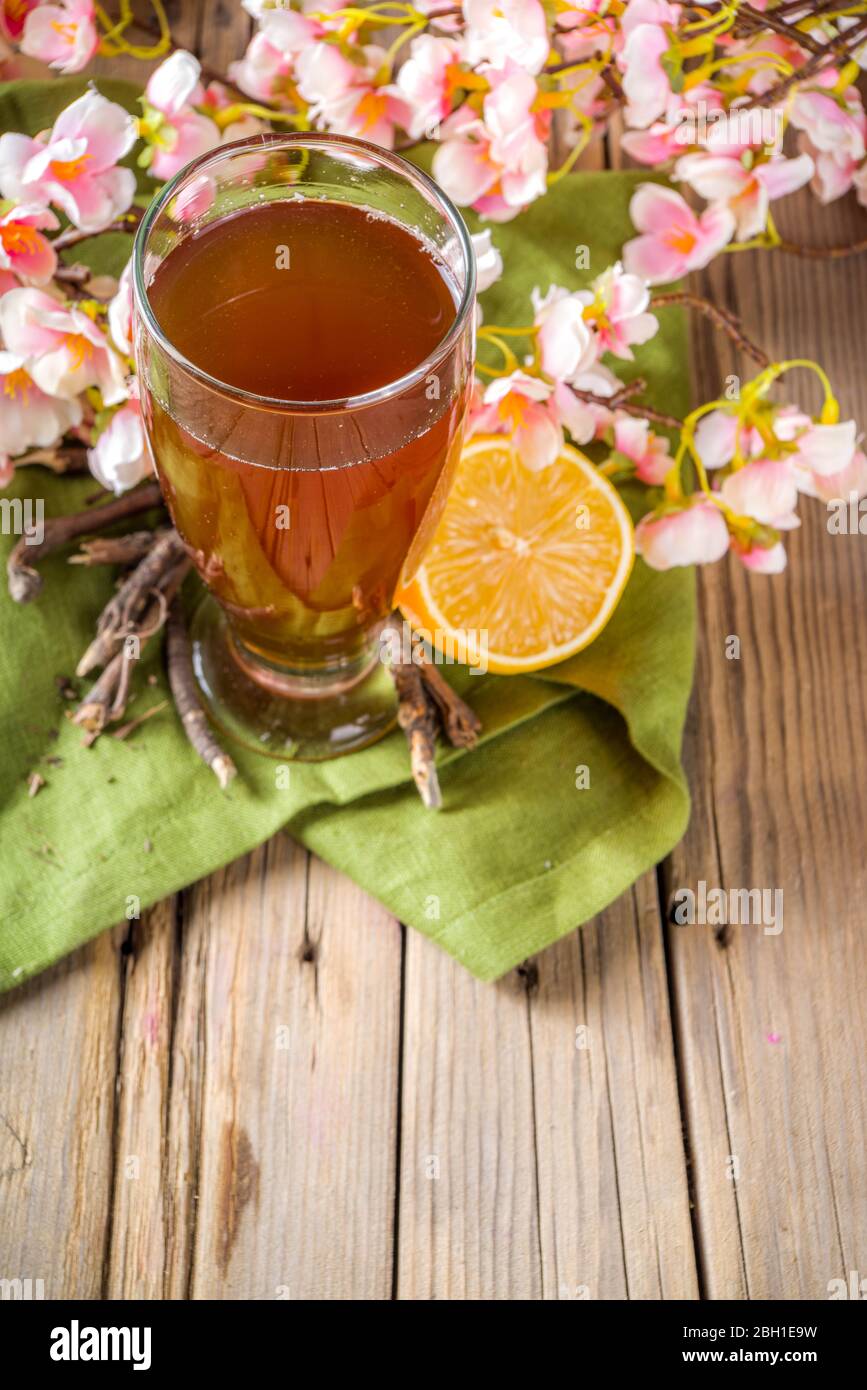 Bevanda indiana a sorbetto Nannari, o rinfrescante cocktail estivo alla limonata, bevanda infusa con radici sarsaparilla, sciroppo nannari, erbe, agrumi e spezie Foto Stock