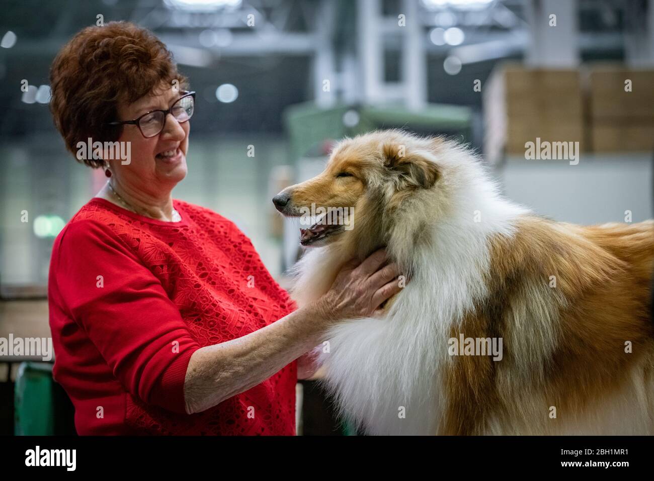 Crufts 2020: Giorno 3 dello spettacolo dei cani Crufts al NEC di Birmingham, Regno Unito. Foto Stock