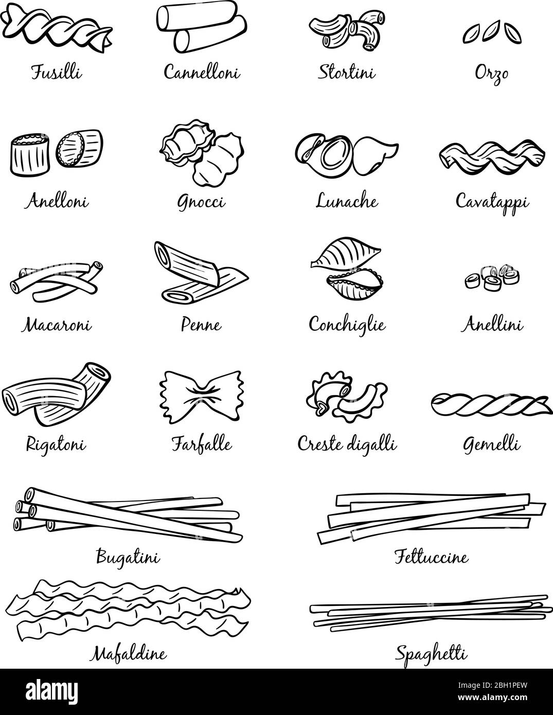 Immagini lineari del cibo italiano classico. Diversi tipi di pasta. Assortimento di prodotti alimentari italiani, farfalle e cannelloni, spaghetti stortini e anellini Illustrazione Vettoriale