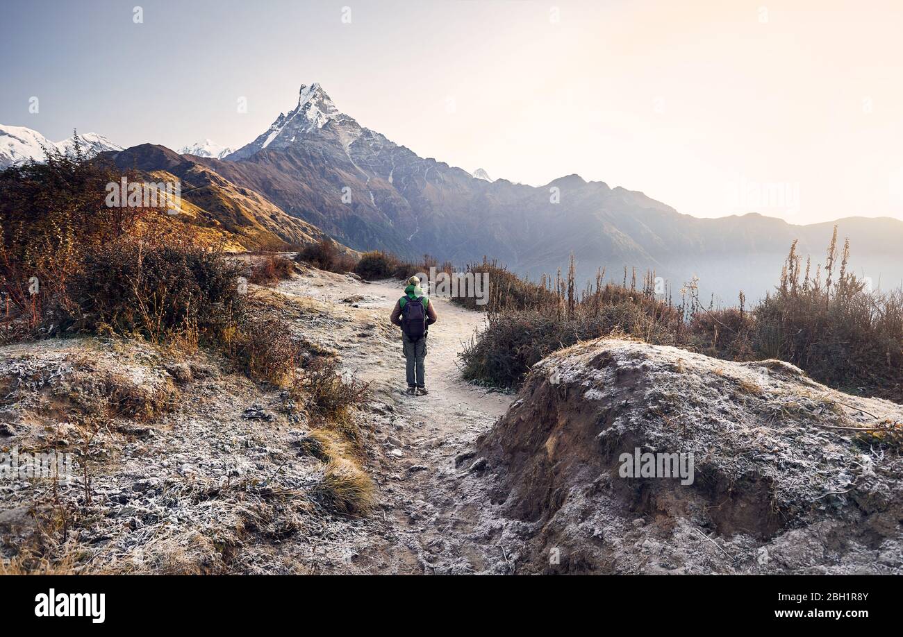 Turistico con zaino godendo la vista della neve montagna himalayana Machapuchare in Nepal Foto Stock