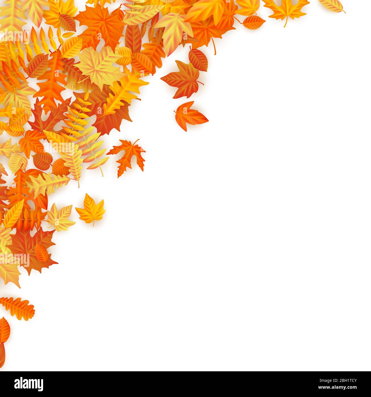 Cornice con foglie autunnali rosse, arancioni, marroni e gialle. EPS 10 Illustrazione Vettoriale