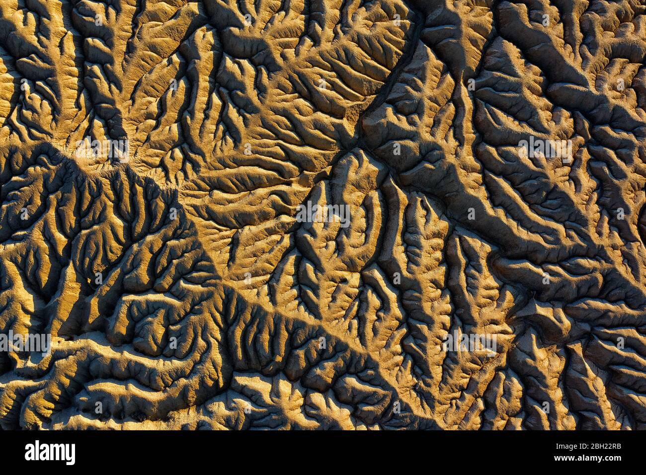 Spagna, Navarra, veduta aerea delle formazioni rocciose delle terre di Bardenas Reales Foto Stock