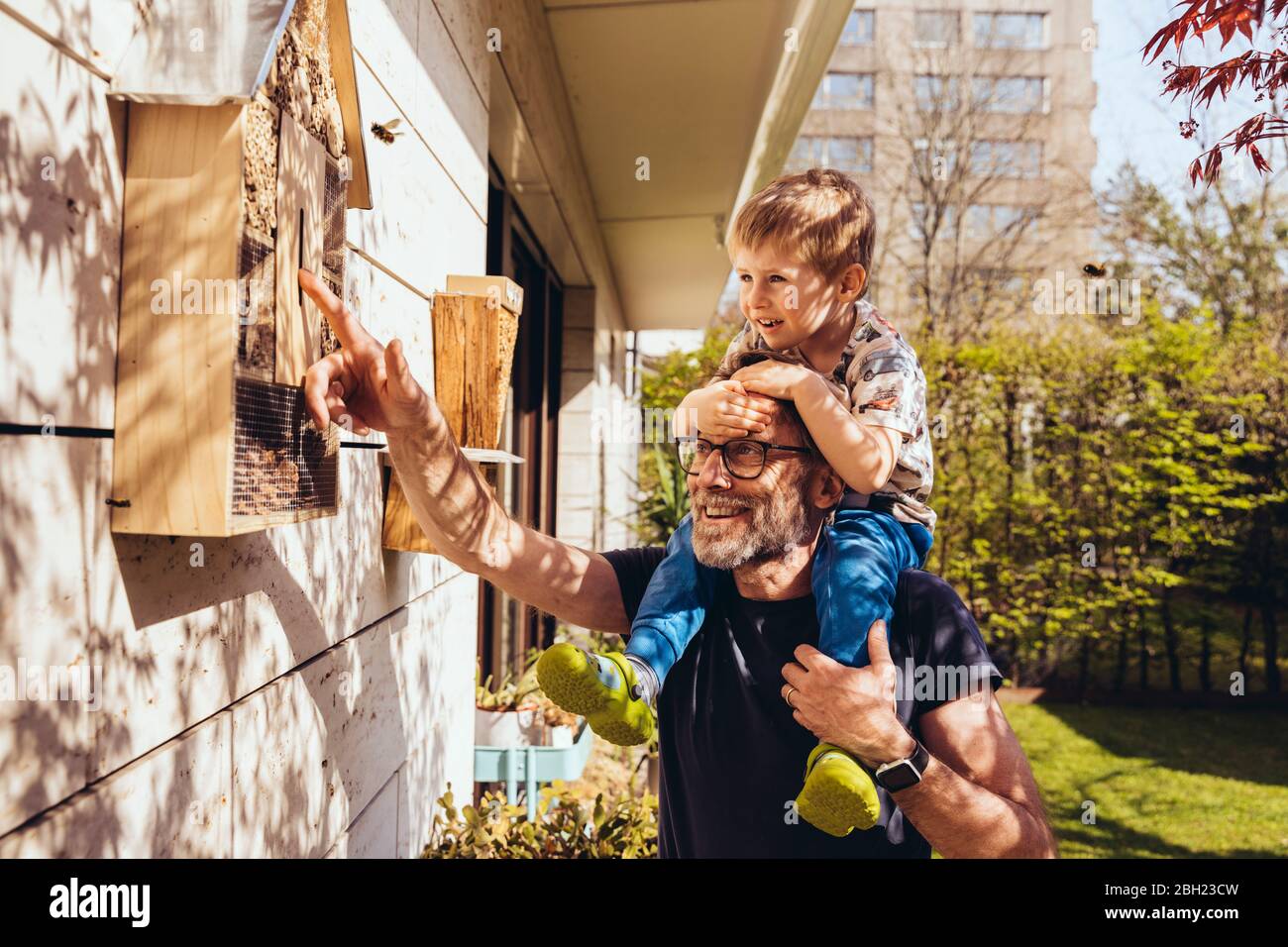 Padre e figlio ispezionano il loro hotel di insetti con le api Foto Stock