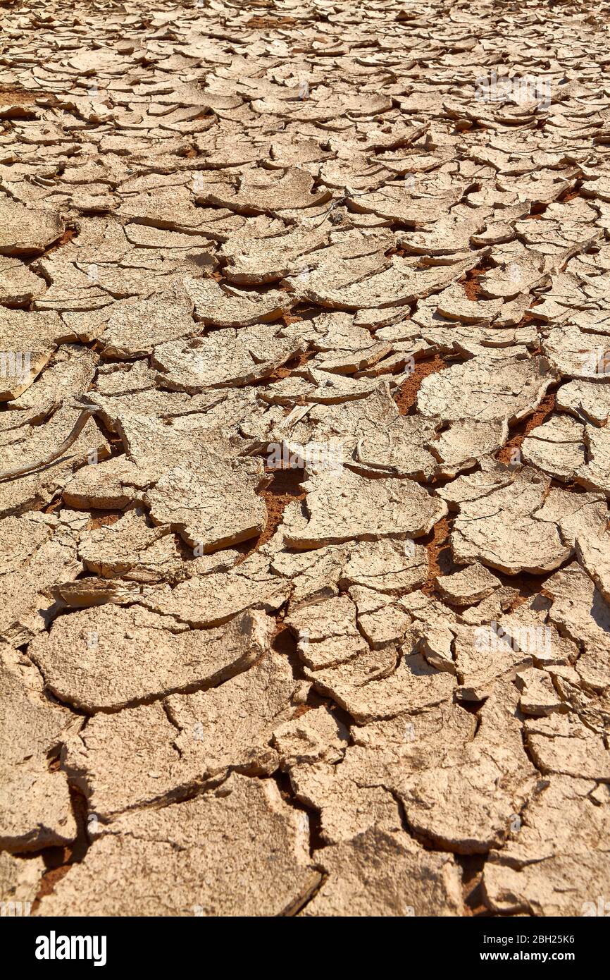 Namibia, terreno asciutto a Deadvlei argilla pan Foto Stock