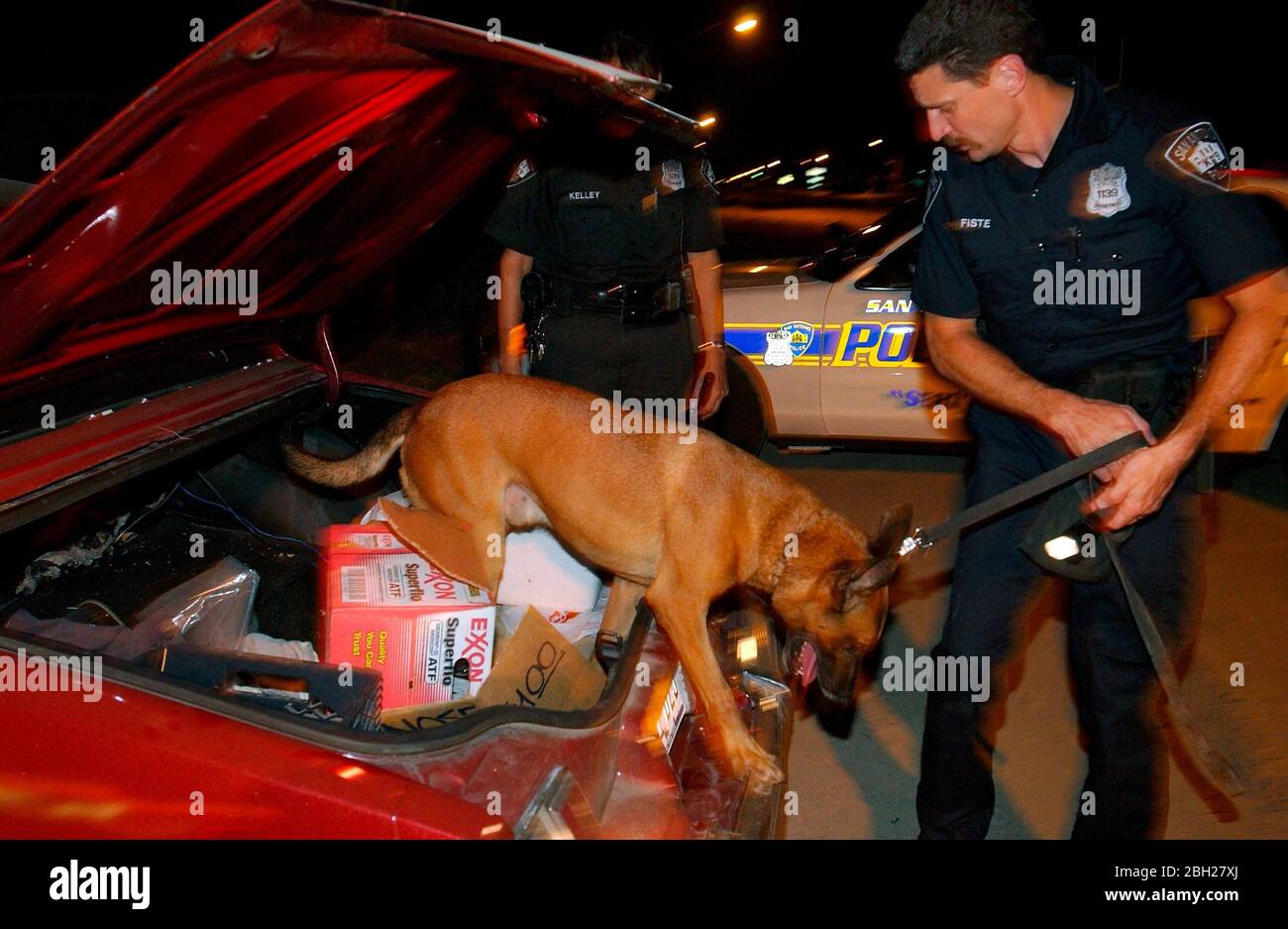 San Antonio, Texas: 7 agosto-8, 2003 : ufficiale di polizia nel sud San Antonio gestisce un cane che sniffing tappeto mentre lavora una fermata del traffico. ©Bob Daemmrich Foto Stock San Antonio, Texas: 7 agosto-8, 2003 : ufficiale di polizia nel sud San Antonio gestisce un cane che sniffing tappeto mentre lavora una fermata del traffico. ©Bob Daemmrich Foto Stock