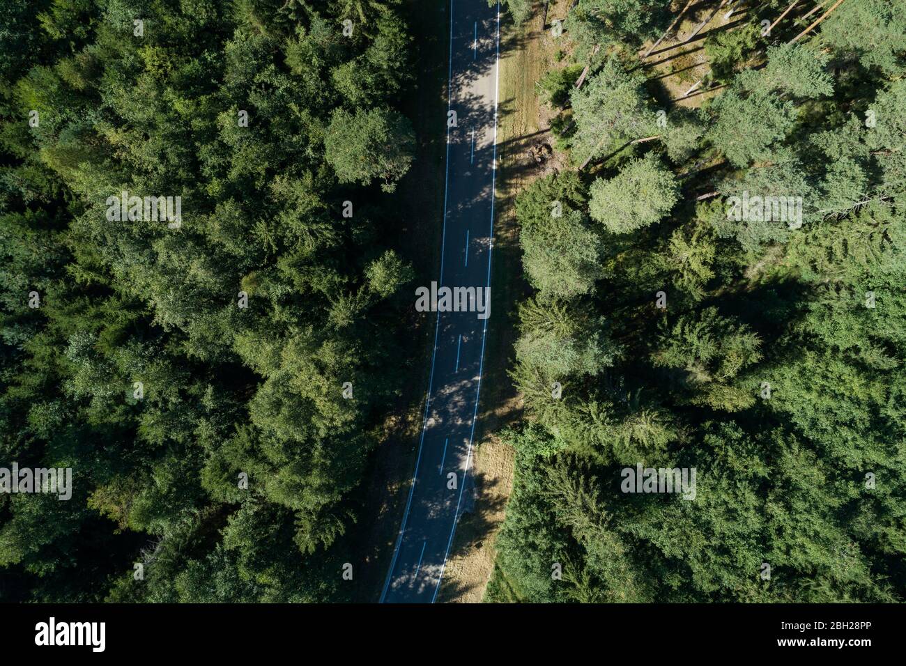 Germania, Baviera, Drone vista di autostrada che taglia attraverso la verde pineta Foto Stock