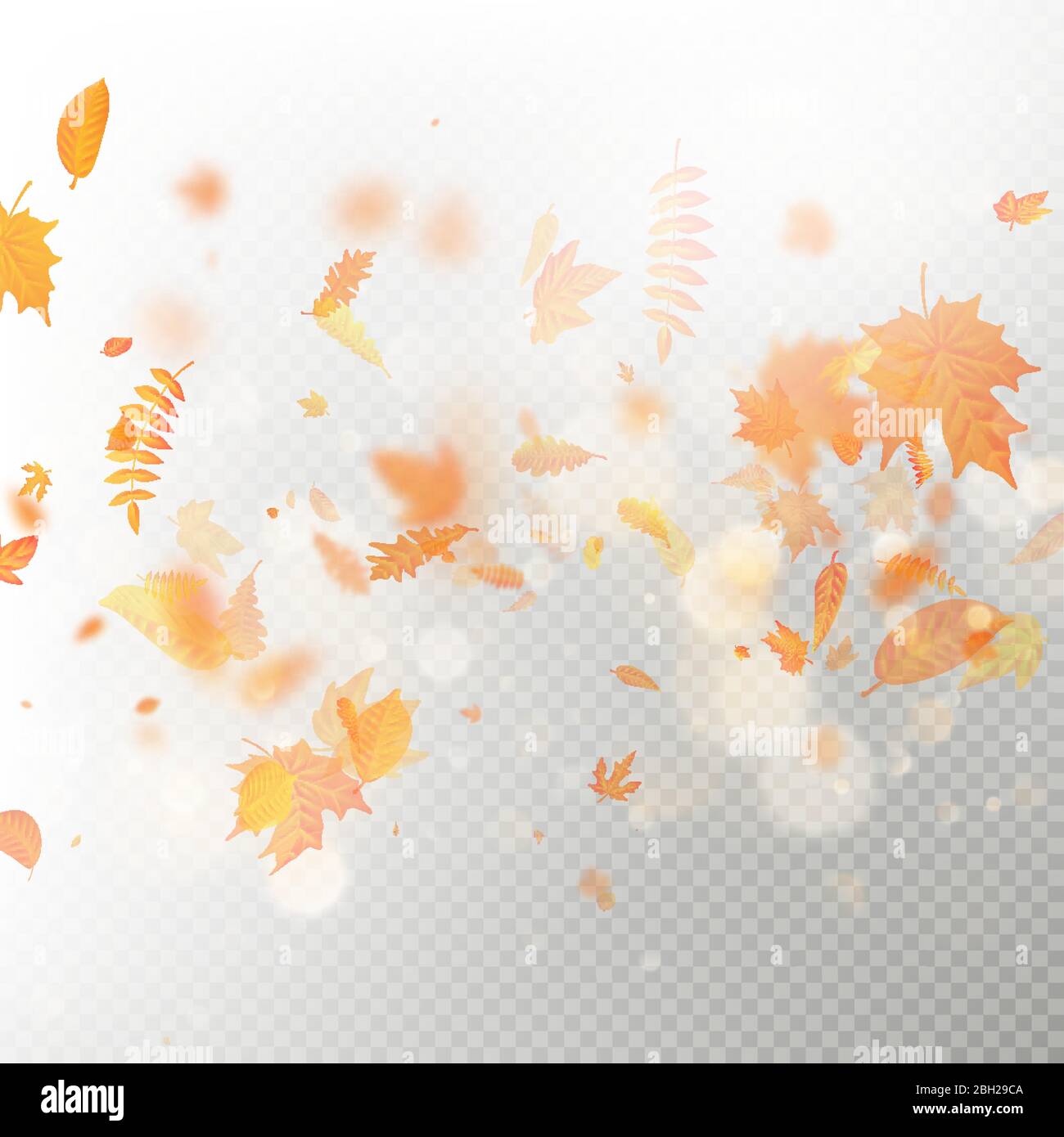Effetto di autunno caduta foglie strato con poco profondo DOF sfocatura. Sagoma autunnale di caduta fogliame. Colore caldo. EPS 10 Illustrazione Vettoriale