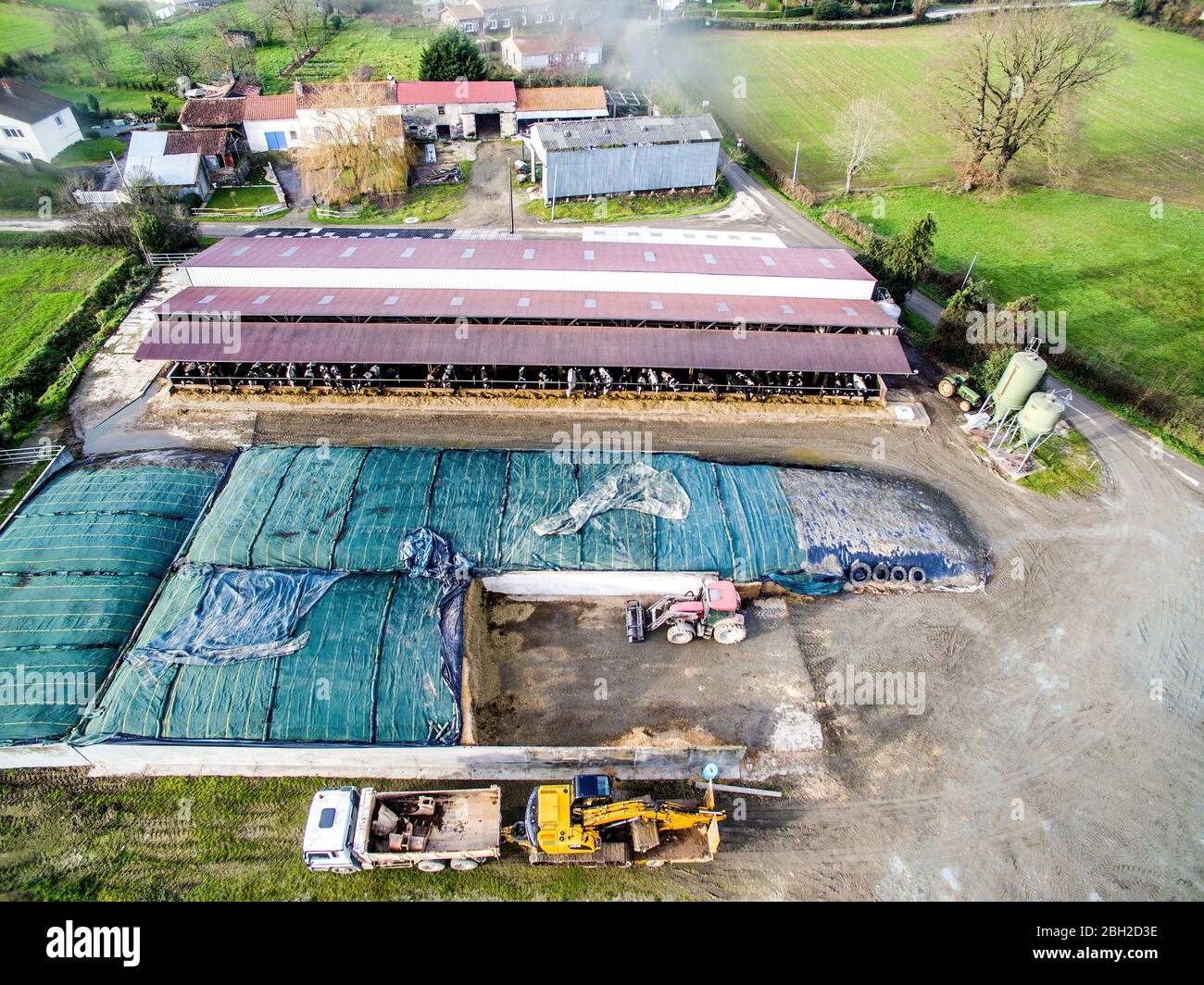 Arial Photo conservazione dei mangimi per bestiame per l'inverno Foto Stock