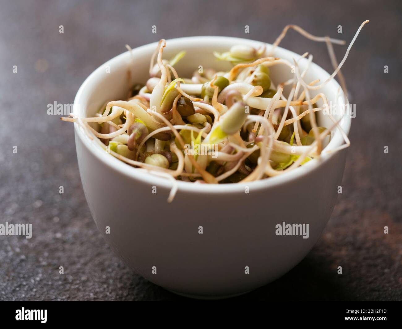 Ciotola di germogli di fagioli freschi (Vigna radiata) Foto Stock