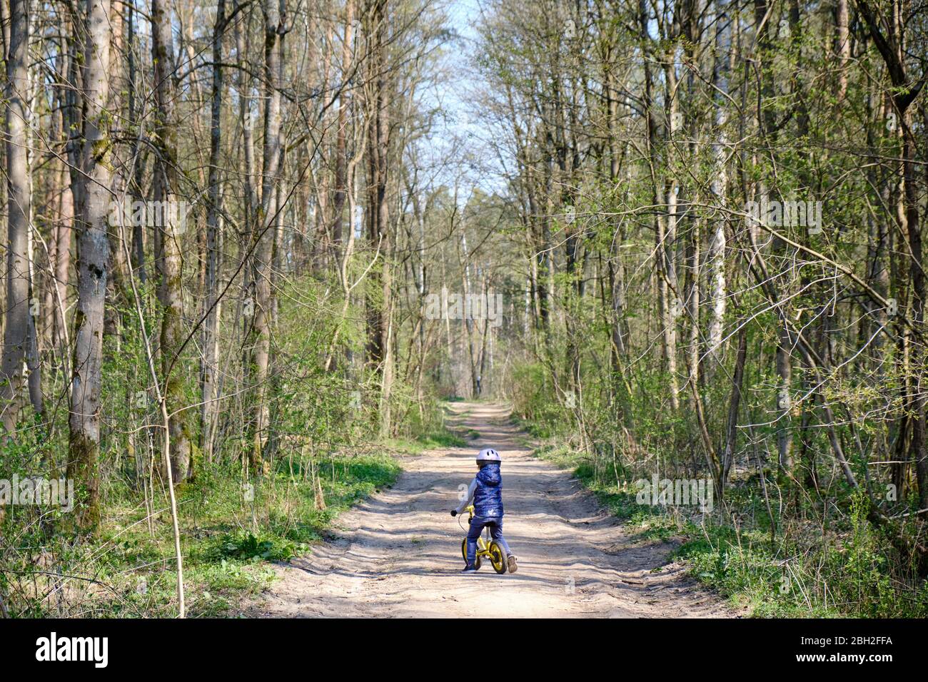 Vista posteriore di 4 anni bambina caucasica a cavallo con una bici da equilibratura su un sentiero in una bella foresta di primavera soleggiata. Visto in Germania nel mese di aprile Foto Stock