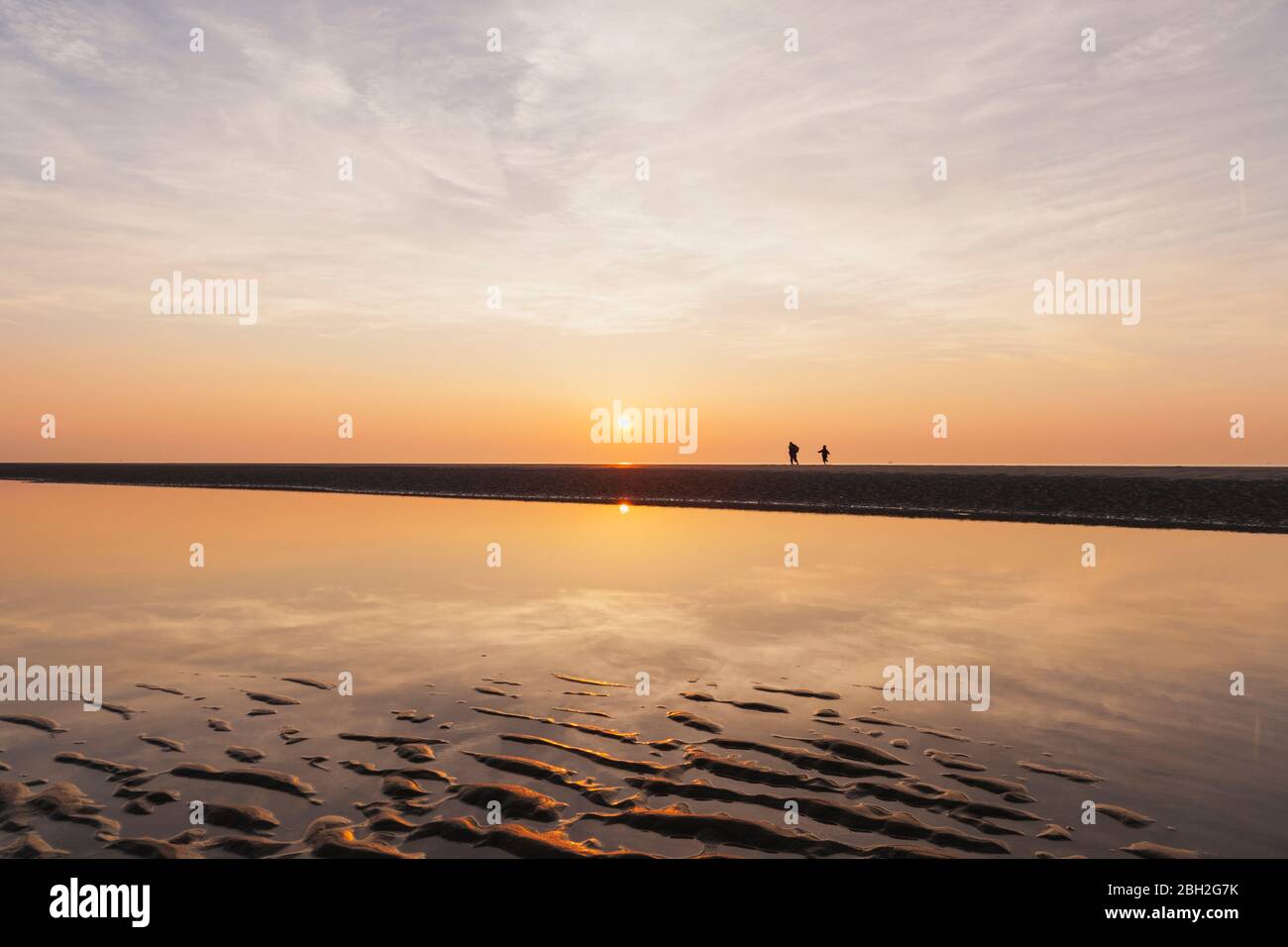 Vista a distanza di silhouette persone in spiaggia contro il cielo durante il tramonto, Mare del Nord, Fiandre, Belgio Foto Stock