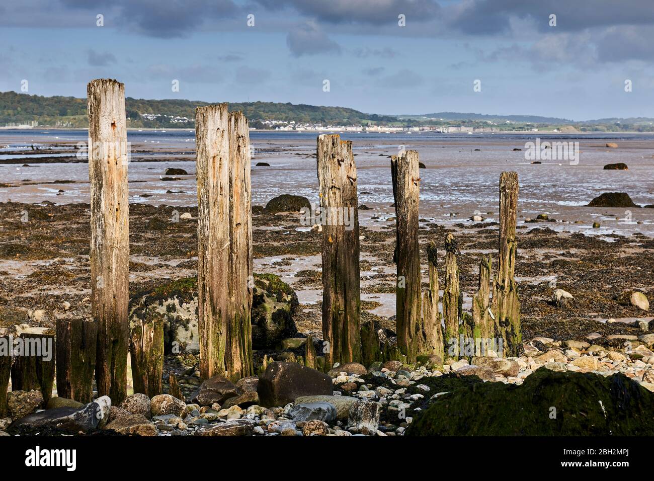 Brune stagne a Gwynedd nel Galles del Nord sulla costa Aber con lo stretto di Menai sullo sfondo Foto Stock