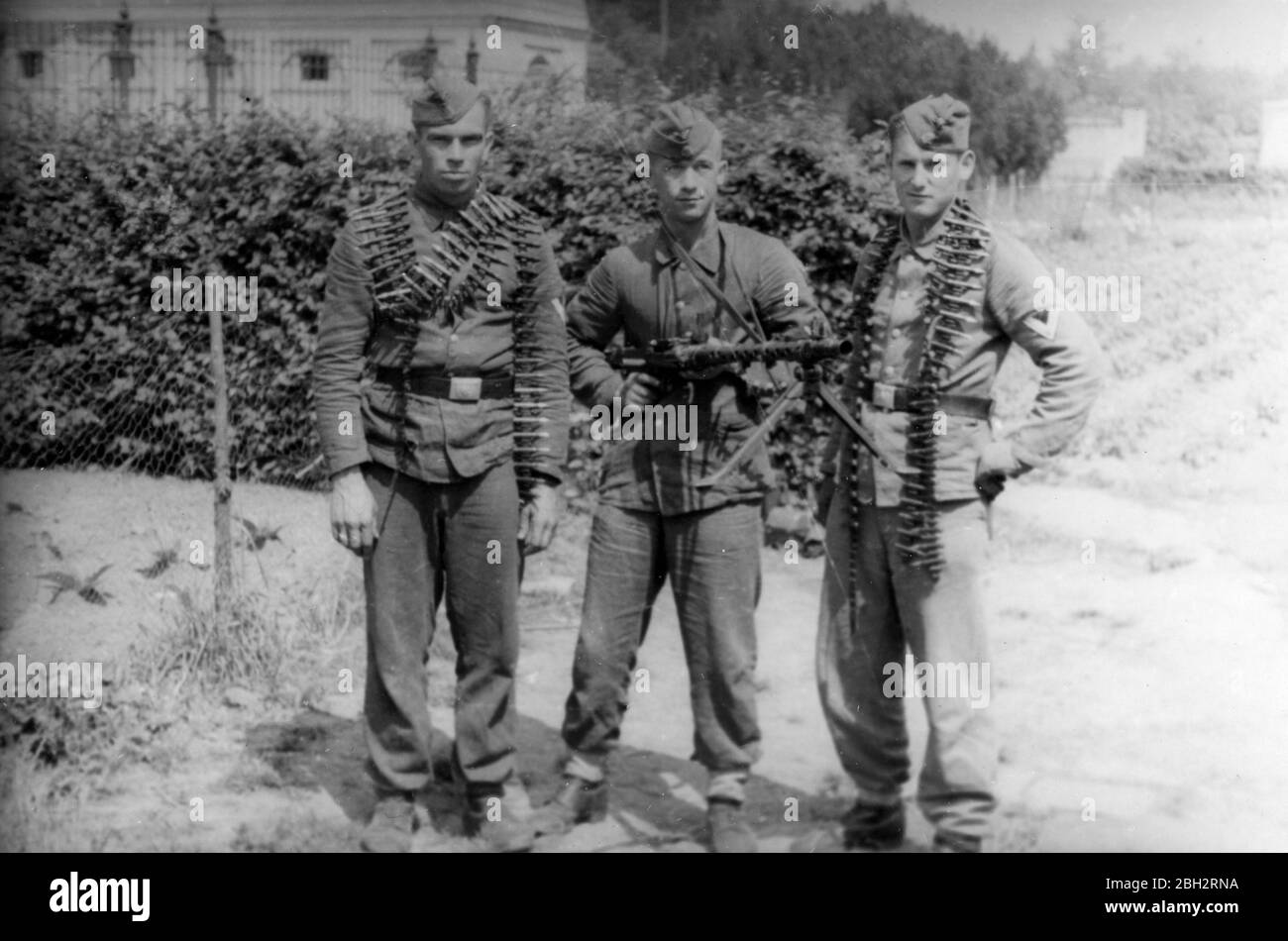 1943, soldati tedeschi delle SS ad Ardoye - Ardooie, Belgio Foto Stock