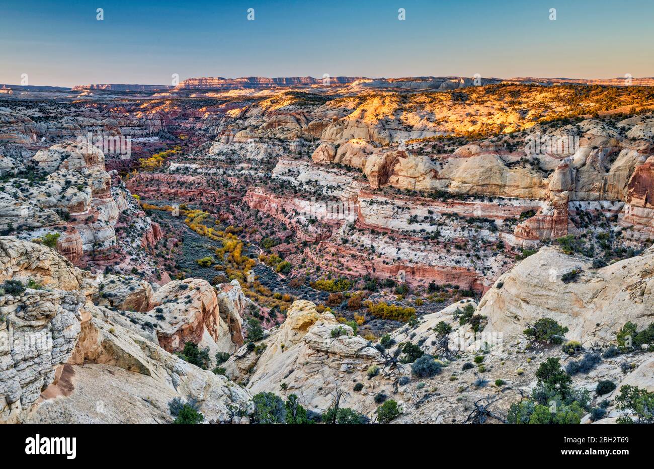 Calf Creek canyon, alba, vista dall'autostrada 12 presso il New Home Bench, l'area di Hogback Slickrock, Grand Staircase-Escalante National Monument, Utah, USA Foto Stock