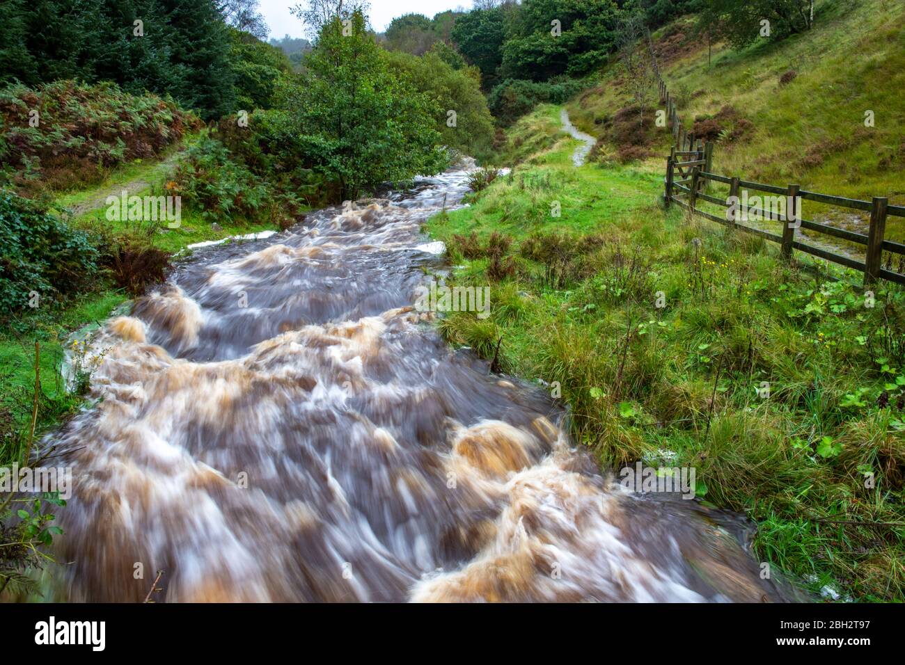 Il fiume normale e dolce nella Lead Mine Valley, Anglezarke, Rivington, Chorley, Lancashire, in pieno flusso durante le recenti inondazioni Foto Stock