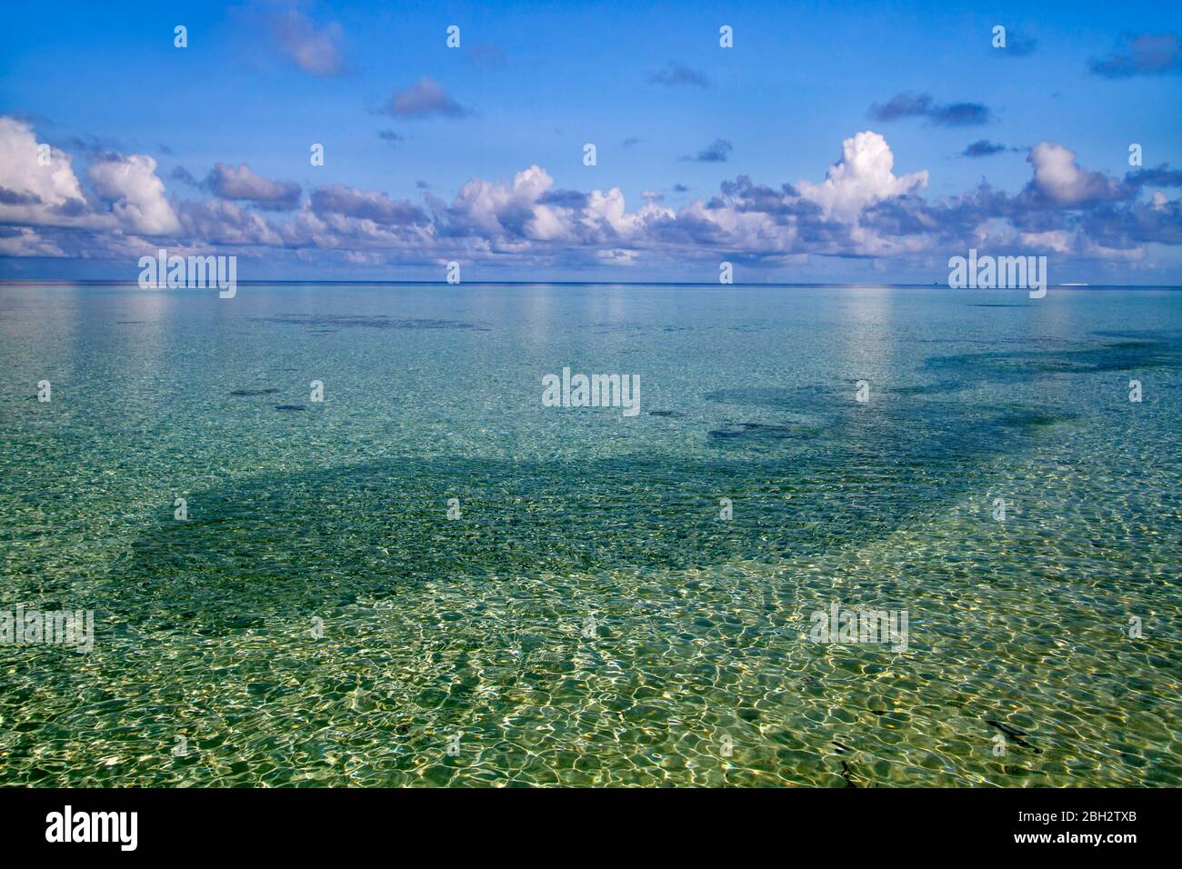 Cristal mare limpido con pesce sciame a Biyadhoo Island , Atollo Sud Male , Maldive Foto Stock