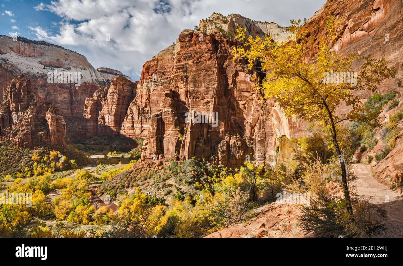 Zion Canyon nella zona di Big Bend, l'organo sulla sinistra, Weeping Rock sulla destra, vista dal percorso di Hidden Canyon alla fine di ottobre, Zion National Park, Utah, Stati Uniti Foto Stock