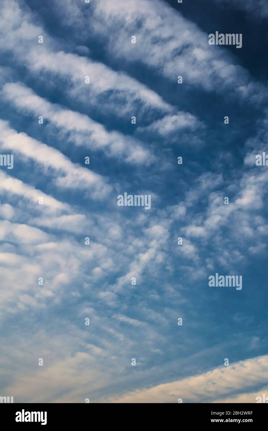 Cirrocumuli nuvole ad alta quota su un cielo estivo pulito. Foto Stock