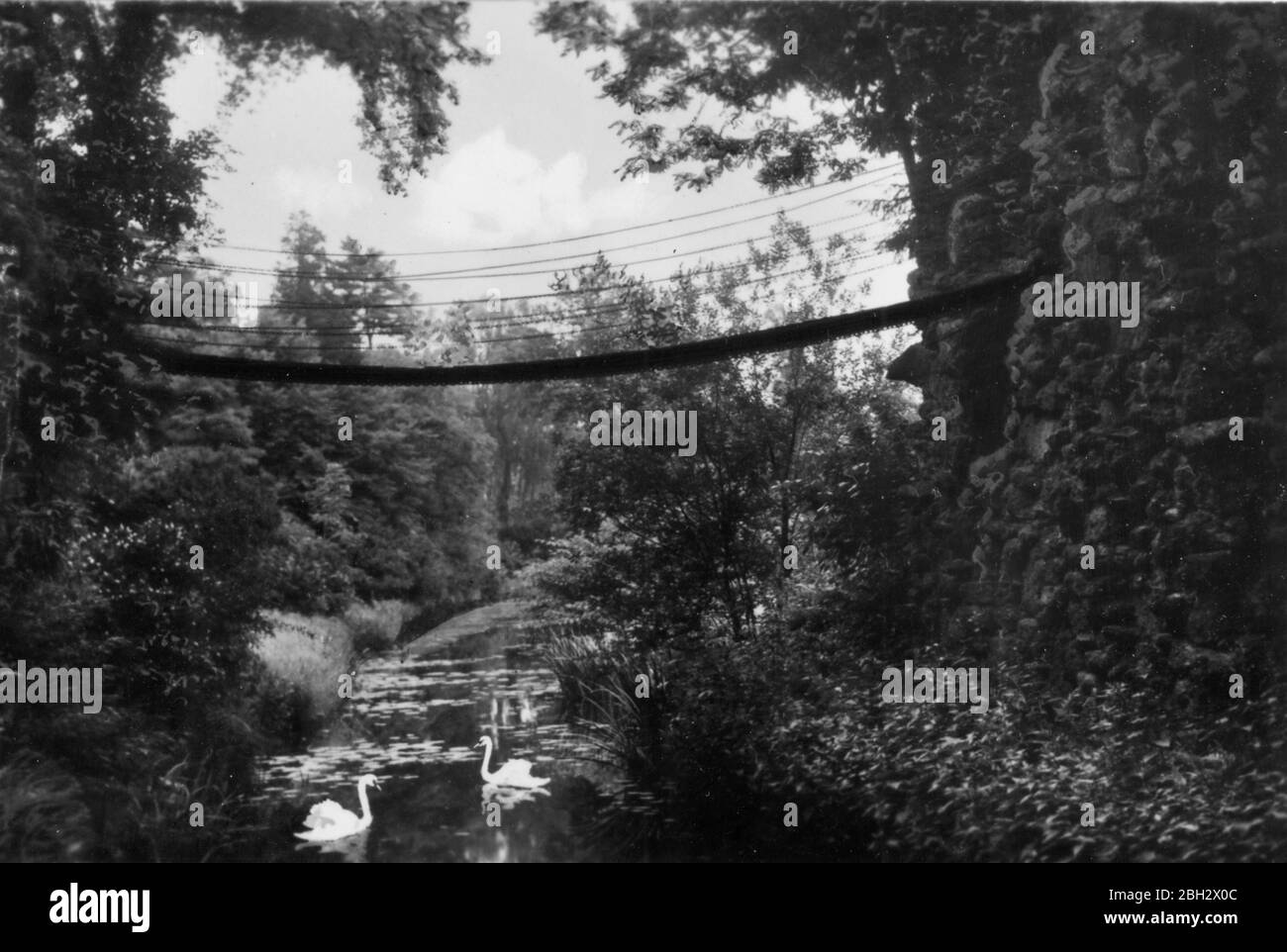 Woerlitzer Park - teufelssteg - passerella del diavolo, parco Woerlitz, Oranienbaum-Wörlitz, Germania - 1941 Foto Stock