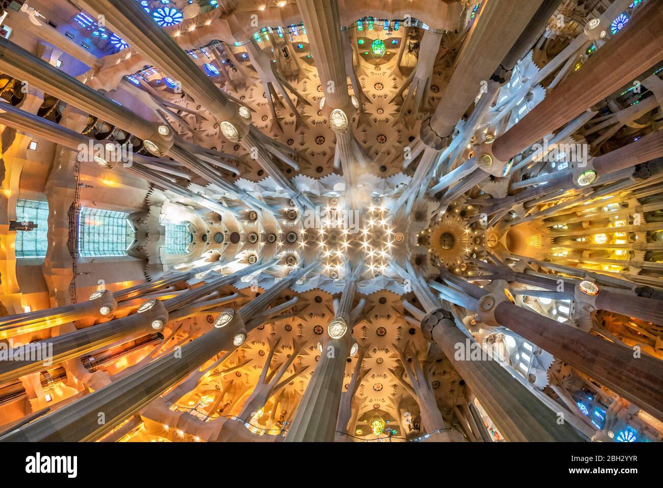 Soffitto nella Cattedrale della Sagrada Familia di Antoni Gaudi, Barcellona Foto Stock