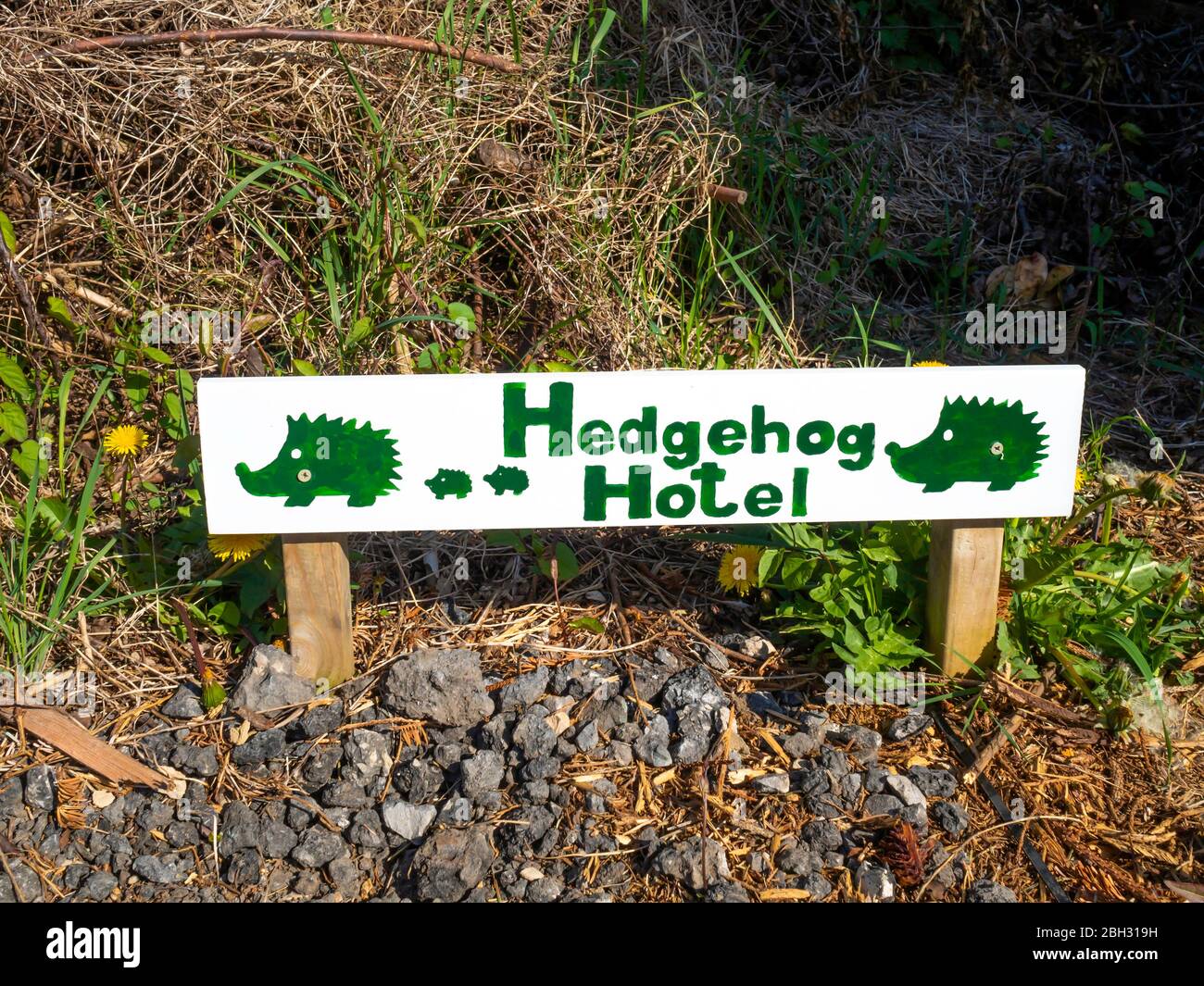 Hedgehog Hotel segno in angolo di giardini allotment dove c'è un denso ispessimento che fornisce la copertura sicura per hedgehog Foto Stock