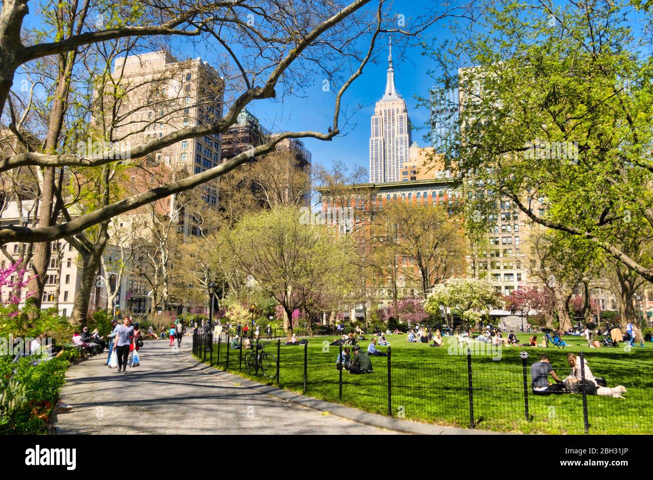 La primavera è bella in Madison Square Park, New York, Stati Uniti d'America Foto Stock