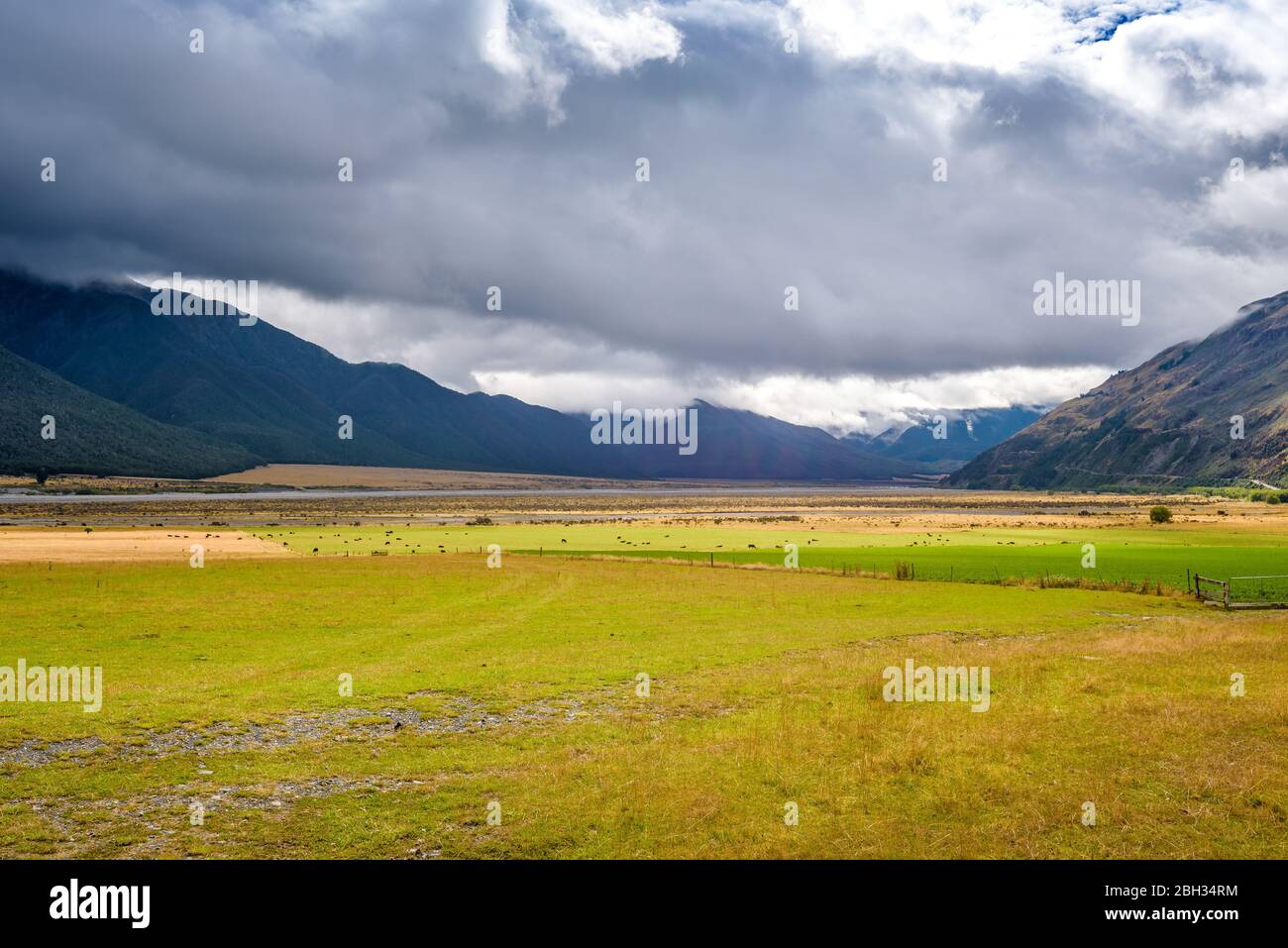 Montagna, colline, pianure, prati, prati, campi e fiume che scorre. Valle del fiume Waimakariri, vicino all'Arthur's Pass e al lago Pearson, Nuova Zelanda. Foto Stock