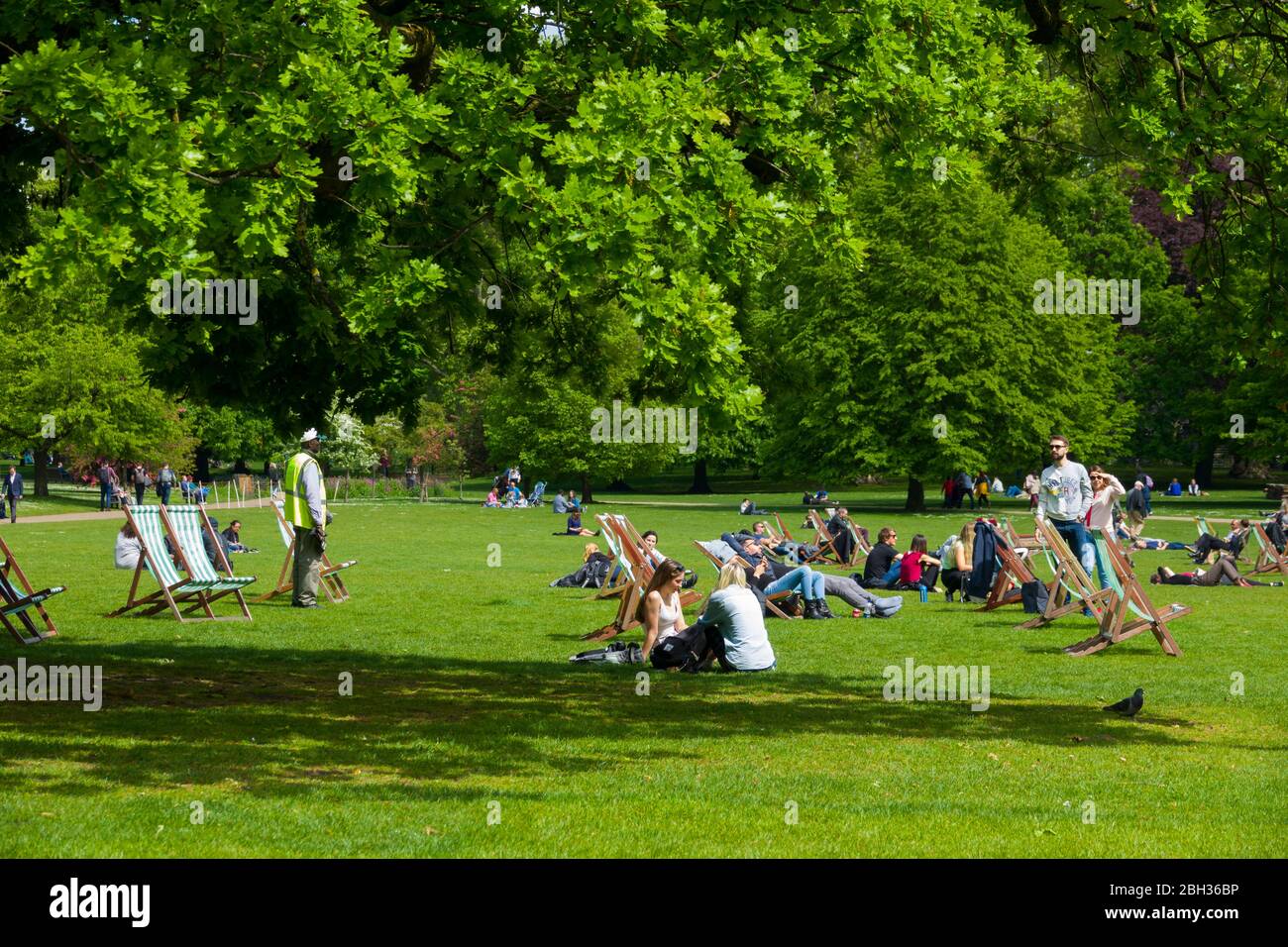 St. James Park Westminster Londra Inghilterra Regno Unito Capital River Thames Regno Unito Europa UE Foto Stock