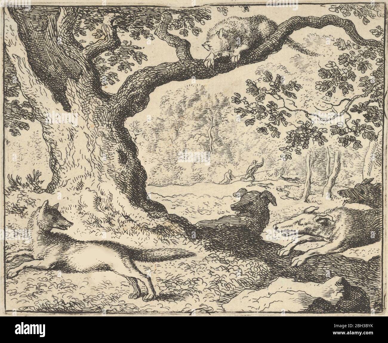 Seguendo la falsa storia di Renard, suo padre è inseguito da cani da caccia. Da Renard the Fox di Hendrick van Alcmar, 1650-75. Secondo stato di tre. Foto Stock