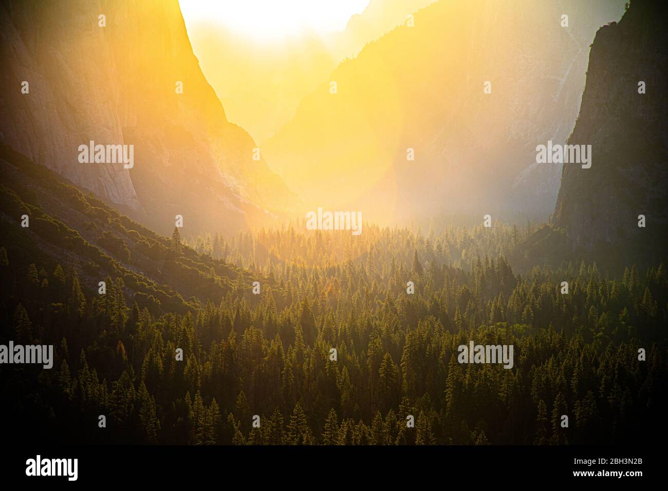 Maestosa alba nella valle sopra la foresta di Yosemite Foto Stock