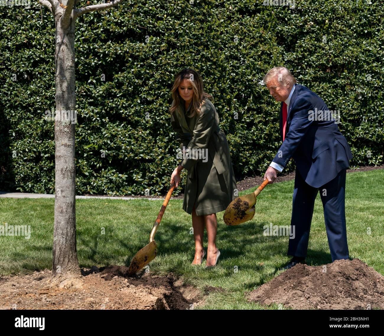 Washington, Stati Uniti d'America. 22 aprile 2020. Washington, Stati Uniti d'America. 22 aprile 2020. Il presidente degli Stati Uniti Donald Trump e la prima signora Melania Trump durante una cerimonia di piantagione di alberi in onore della Terra e Arbor Day sul prato meridionale della Casa Bianca 22 aprile 2020 a Washington, DC. Credit: Andrea Hanks/White House Photo/Alamy Live News Foto Stock