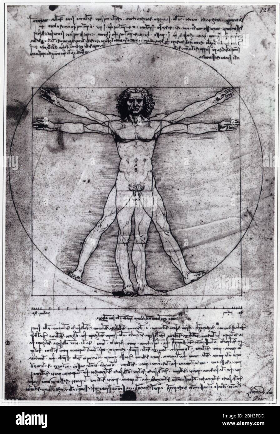 Leonardo da Vinci. Vitruvian Man. 1492. Disegno Foto Stock