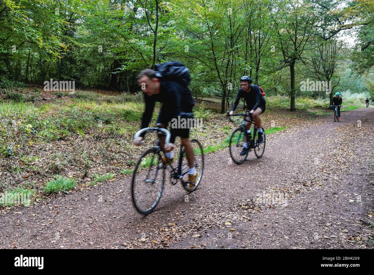 Ciclisti a Epping Forest, Essex, Inghilterra, Regno Unito Foto Stock