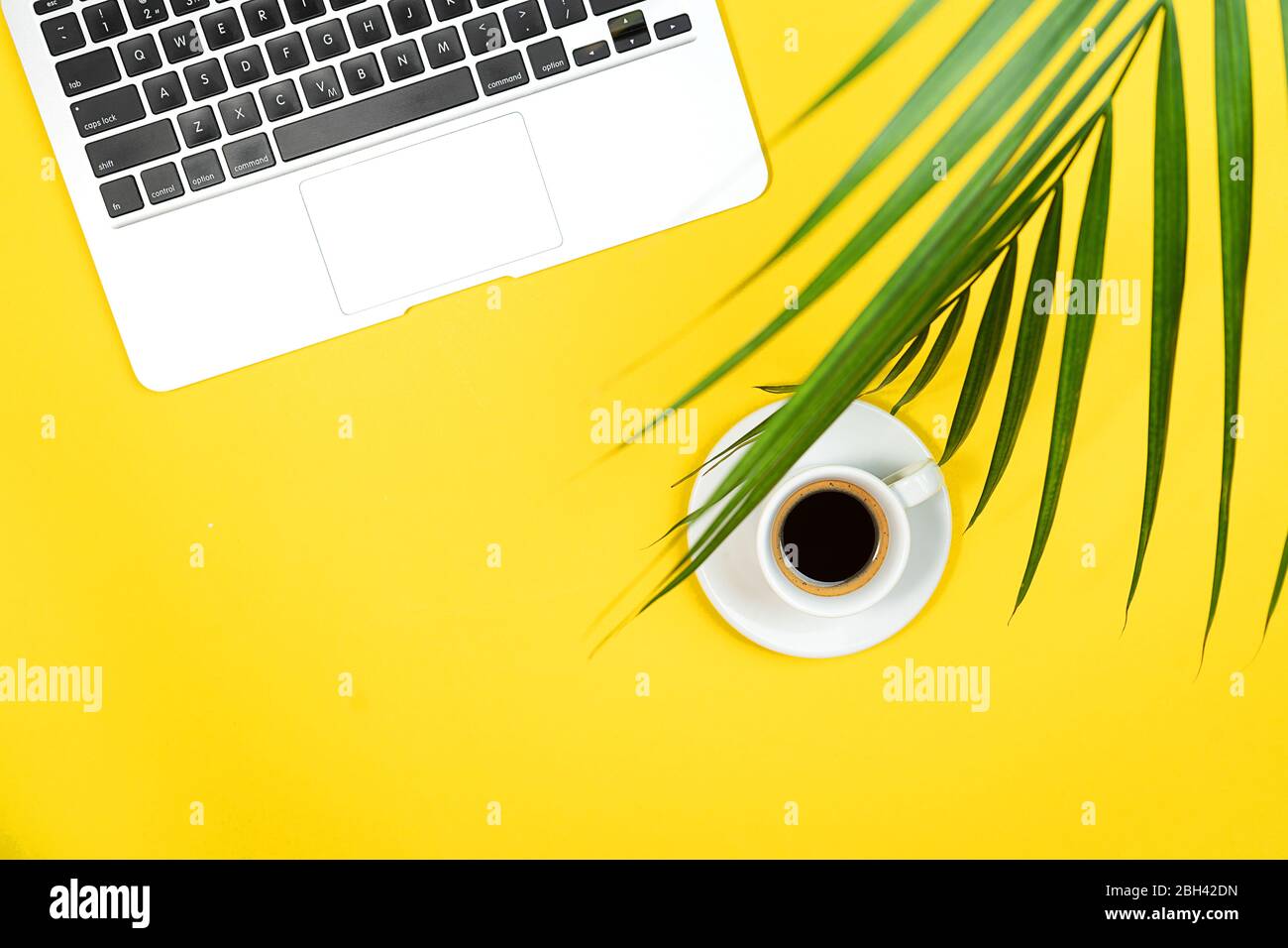 Scrivania gialla moderna con computer portatile, tazza di caffè e foglia di palma. Vista dall'alto, disposizione piatta. Lavorare da casa concetto. Spazio di copia. Primo piano. Foto Stock