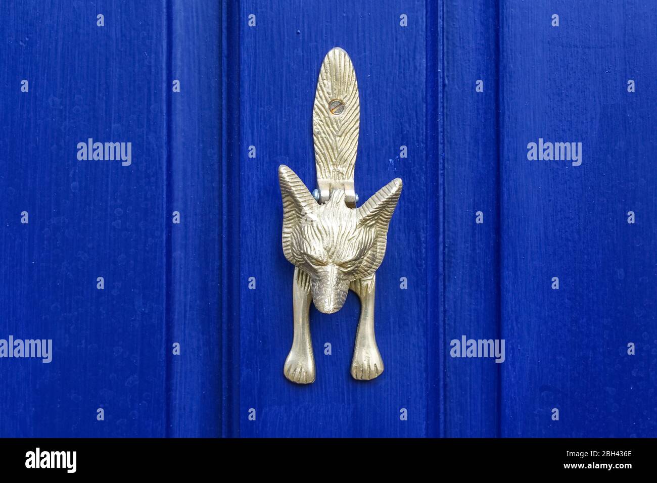 Porta in ottone a forma di volpe battente su una porta blu, Londra Inghilterra Regno Unito Foto Stock