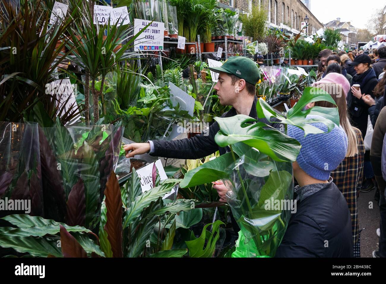 Columbia Road Flower Market, Londra Inghilterra Regno Unito Foto Stock