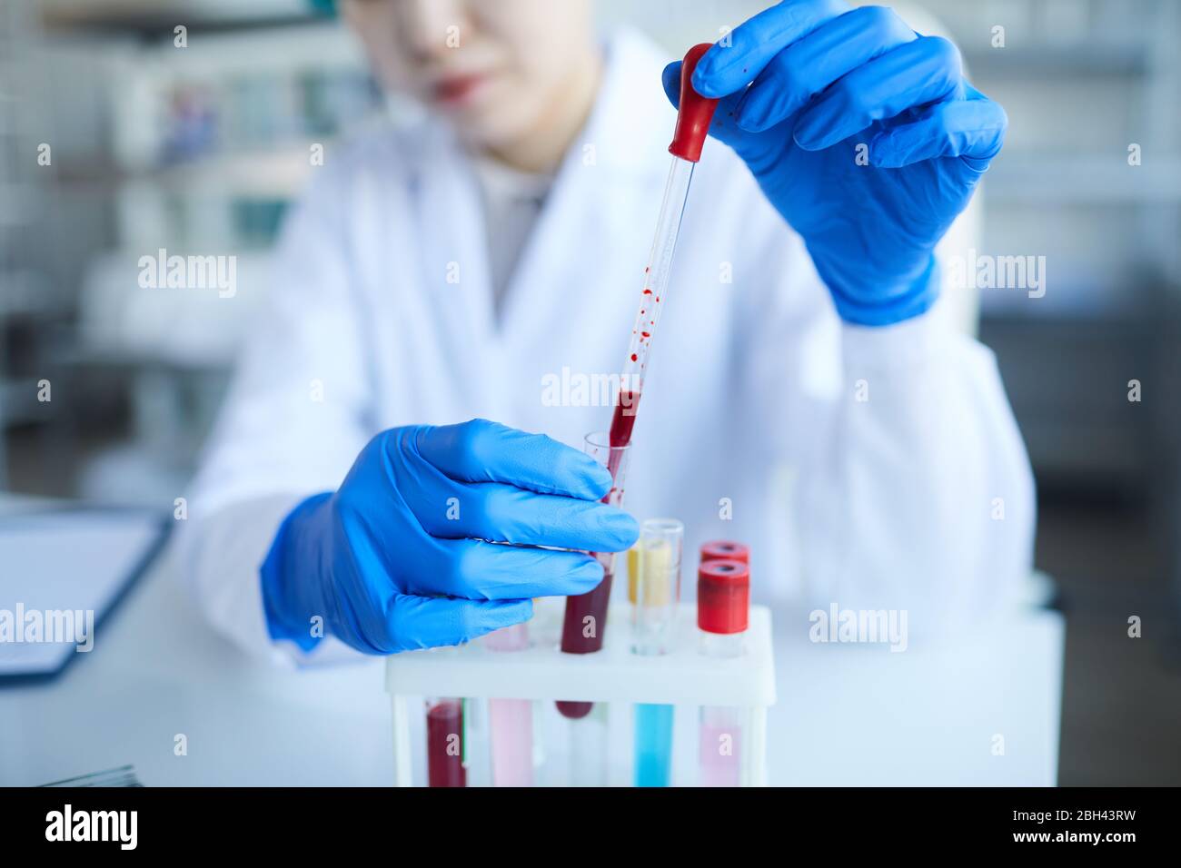 Primo piano di un medico femminile in guanti protettivi che esaminano i campioni di sangue e che lavora al di sopra delle analisi in laboratorio Foto Stock