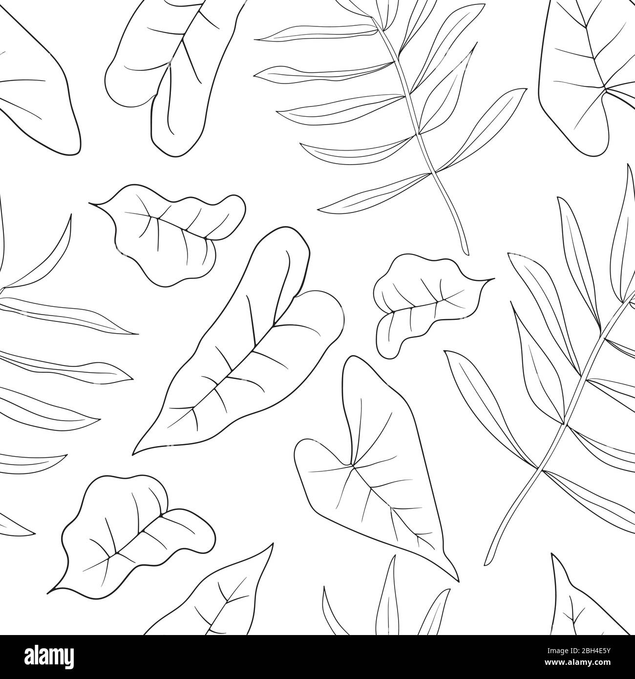 Foglie di palma tropicali disegnate a mano, foglie di giungla senza cuciture motivo floreale vettoriale. Ideale per il tessuto. Sfondo estivo. Pagina per colorazione Illustrazione Vettoriale