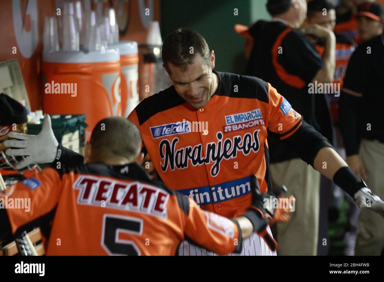 Jonathan Aceves, Baseball, Beisbol. LMP, liga mexicana del Pacifico. 18 nov 2013 Foto Stock