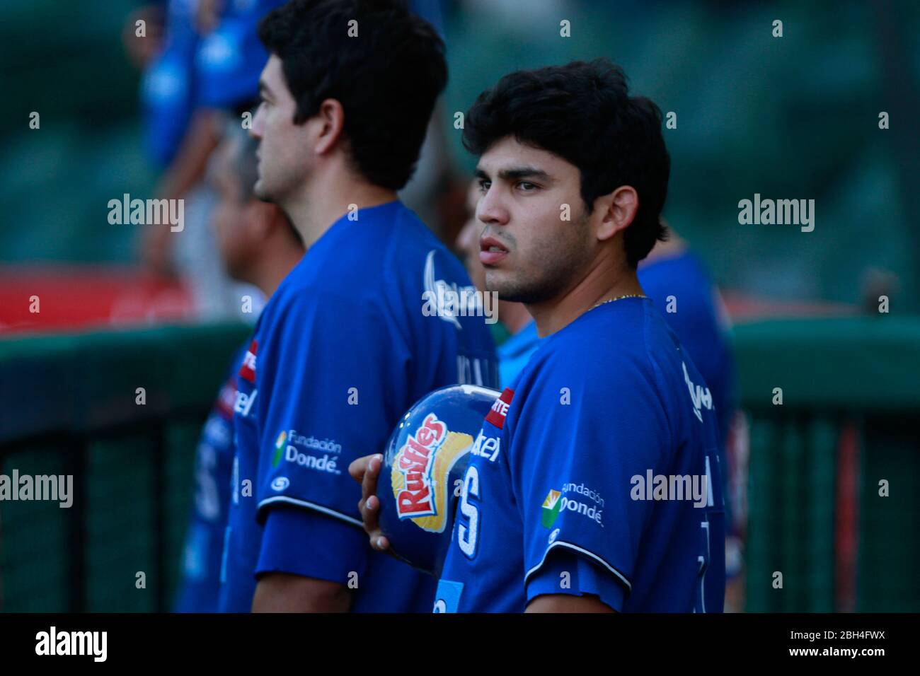 Yaquis de obregon team .Baseball, Beisbol. LMP, liga mexicana del Pacifico. 18 nov 2013 Foto Stock