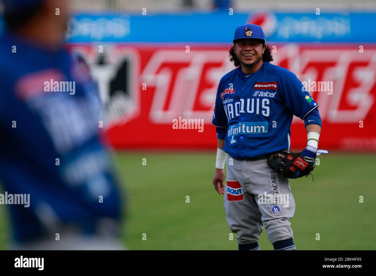 Alfredo Amezaga, Baseball, Beisbol. LMP, liga mexicana del Pacifico. 18 nov 2013 Foto Stock