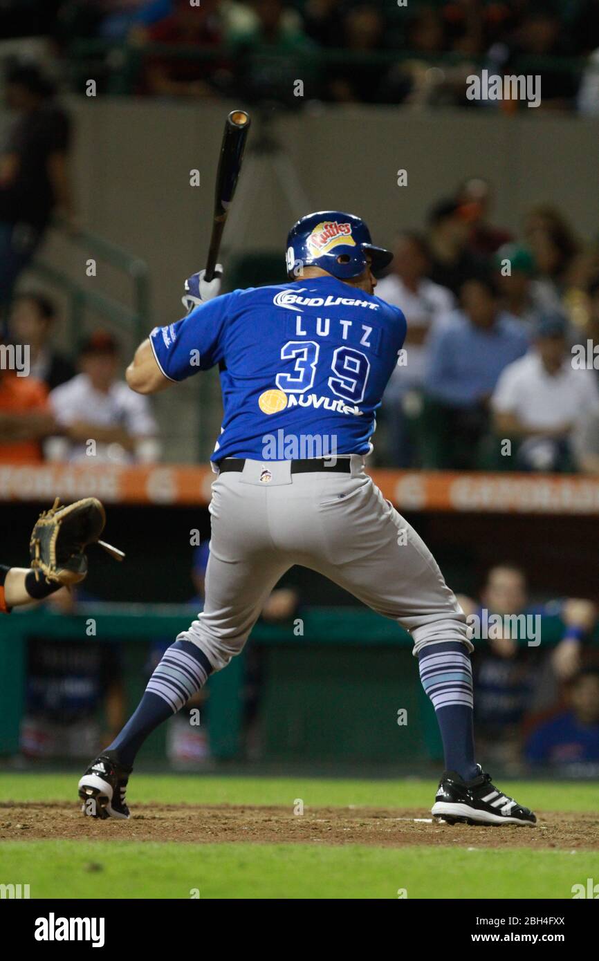 Lutz, Baseball, Beisbol. LMP, liga mexicana del Pacifico. 18 nov 2013 Foto Stock