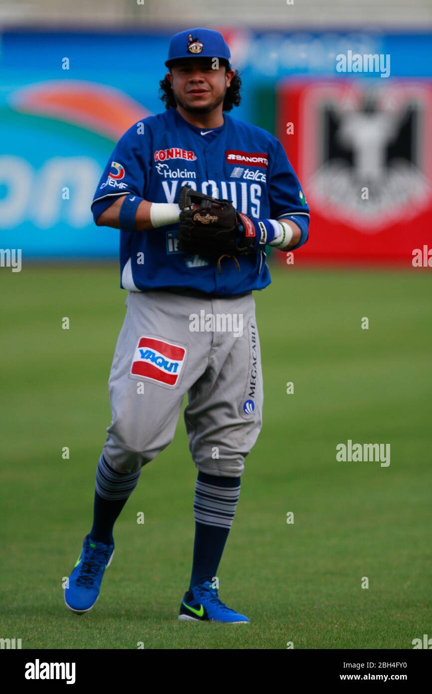 Alfredo Amezaga Baseball, Beisbol. LMP, liga mexicana del Pacifico. 18 nov 2013 Foto Stock