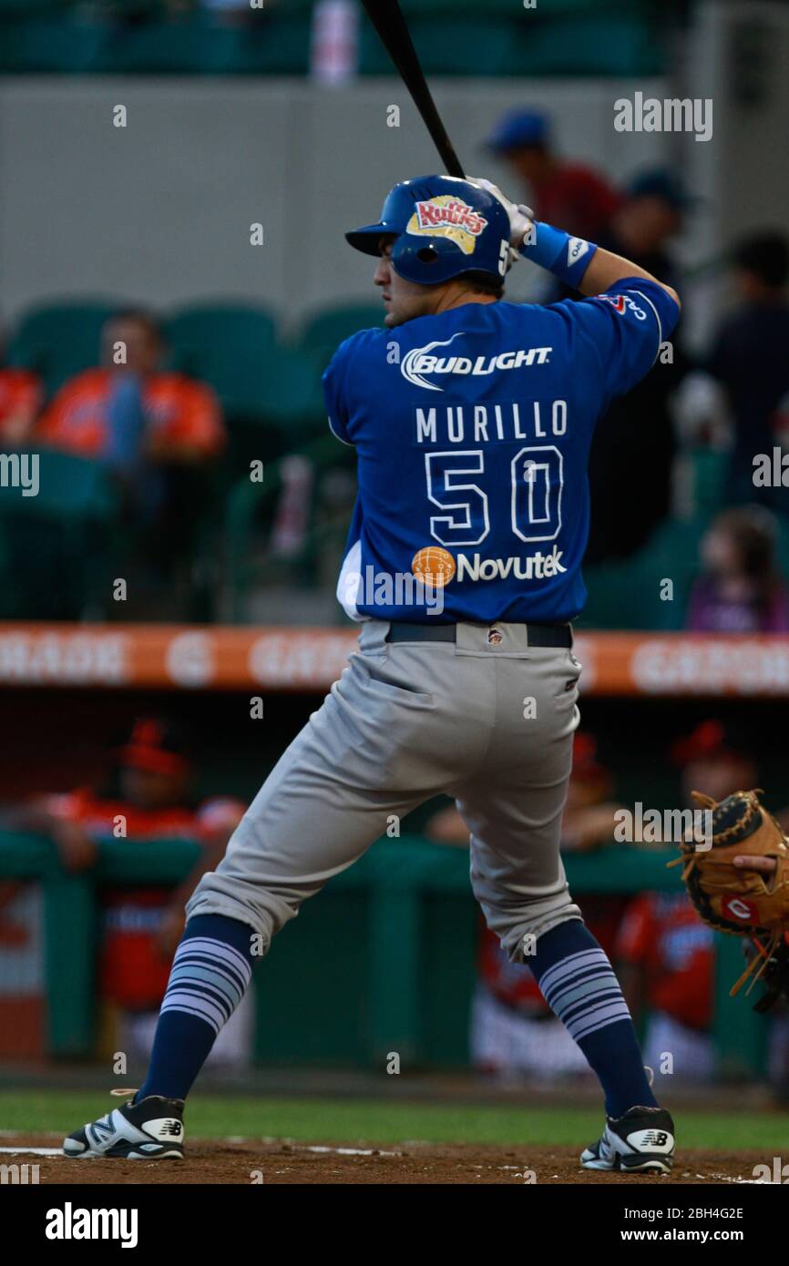 Murillo, Baseball, Beisbol. LMP, liga mexicana del Pacifico. 18 nov 2013 Foto Stock