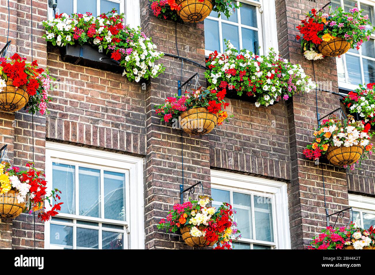 Fiori box decorazioni colorate sulle finestre giorno d'estate con  architettura in mattoni a Londra, quartiere britannico di Kensington Foto  stock - Alamy