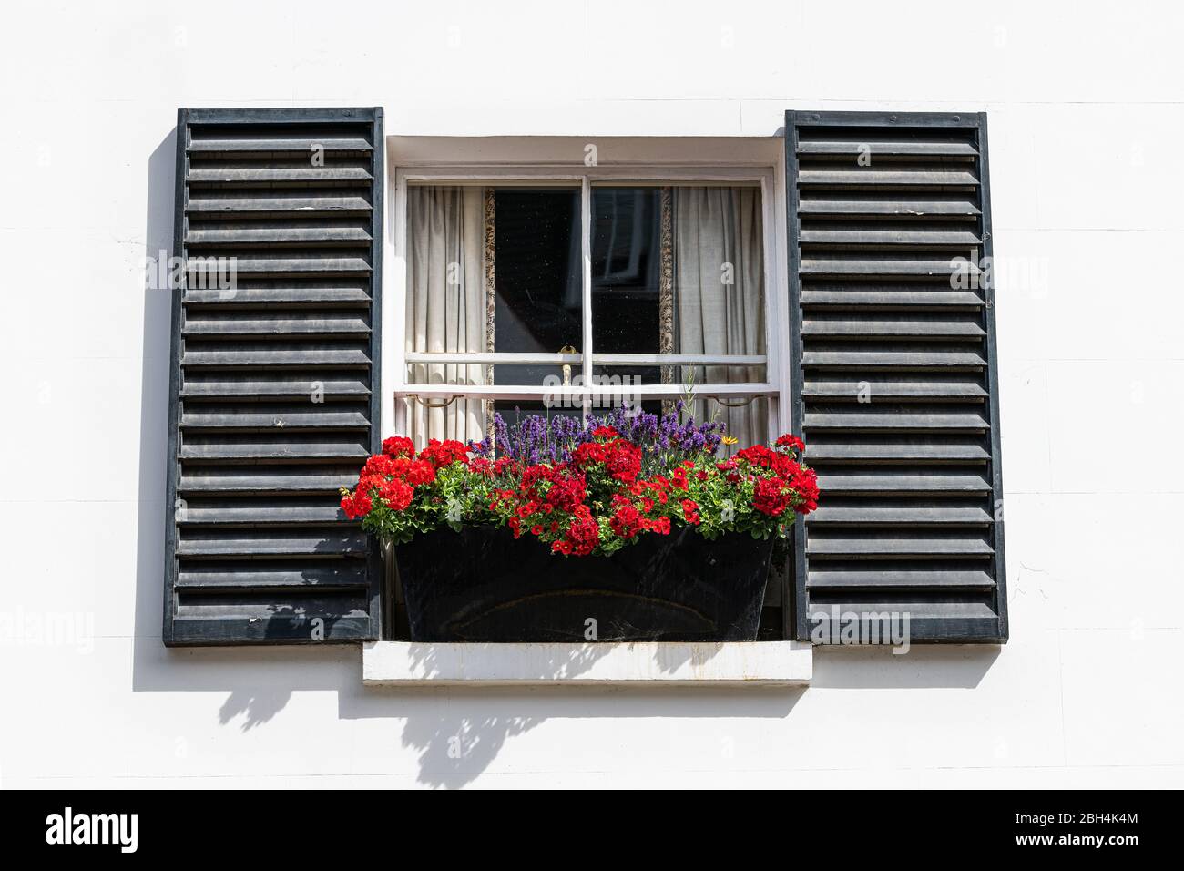 La città di Londra è vicino a una finestra piatta e verde rosso geranio fiori decorazioni scatola in estate giorno di sole e nessuno architettura a Chelsea Kensington Foto Stock