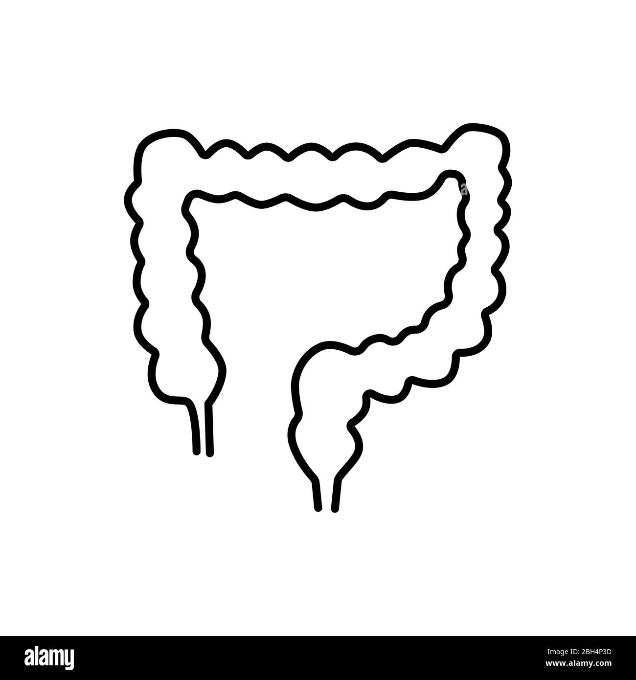 Colonolo umano o segno di intestino crasso. Icona vettore di linea semplice. Organo umano interno. Illustrazione Vettoriale