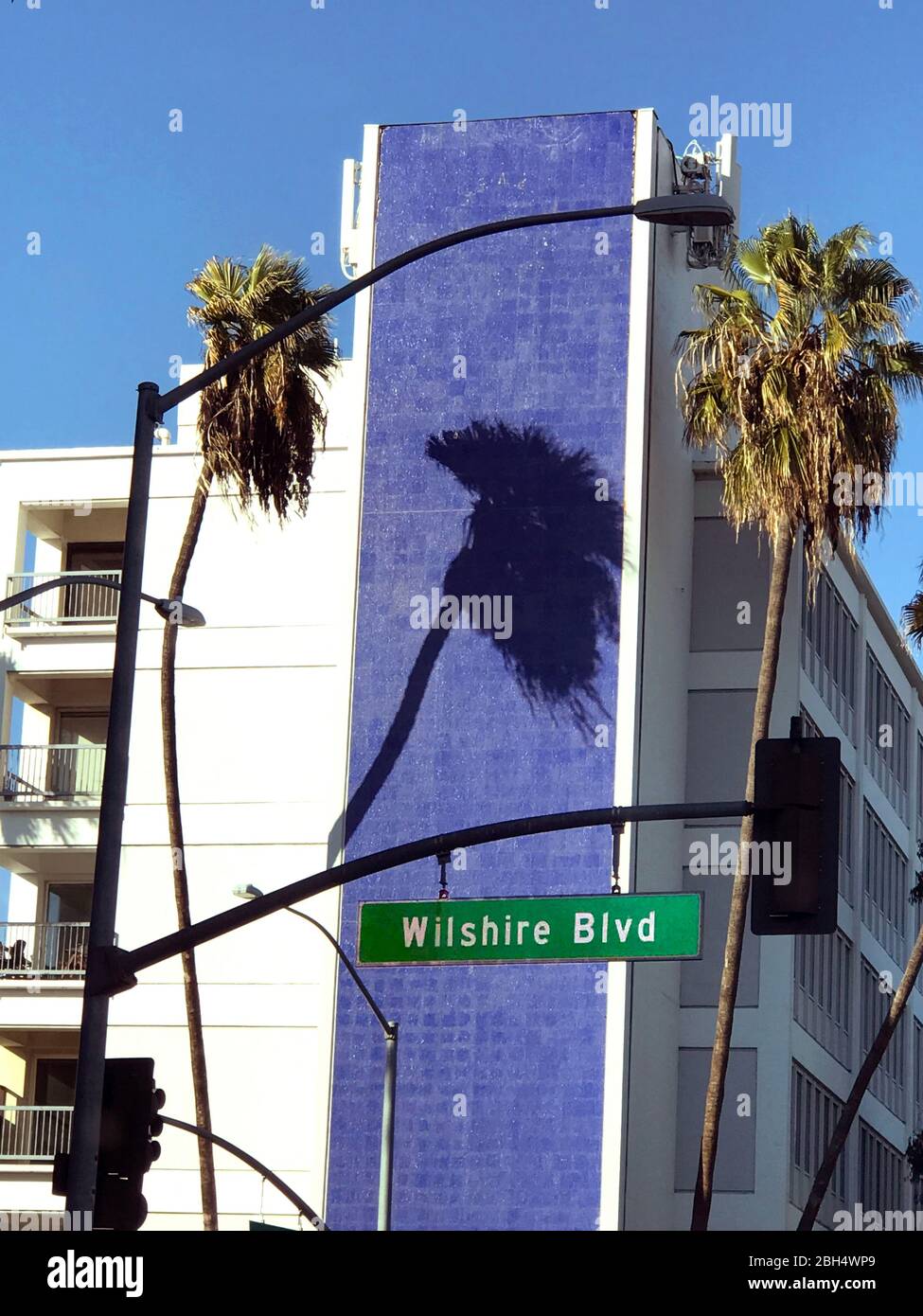 Palme e ombre su edificio di metà secolo su Wilshire Blvd, a Beverly Hills, CA Foto Stock