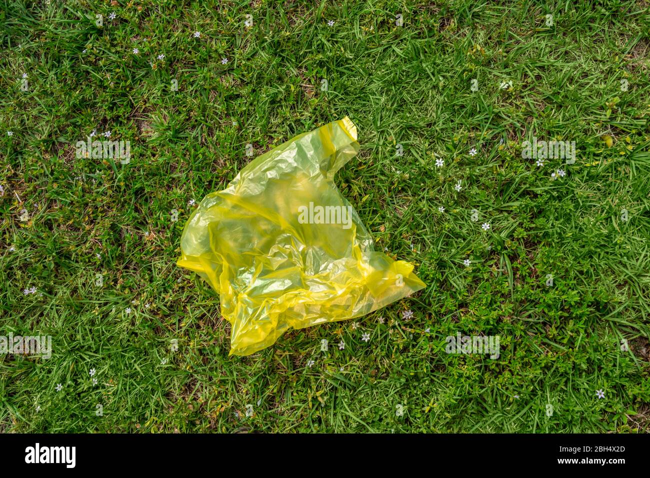 Sacchetto di plastica giallo sull'erba Foto Stock